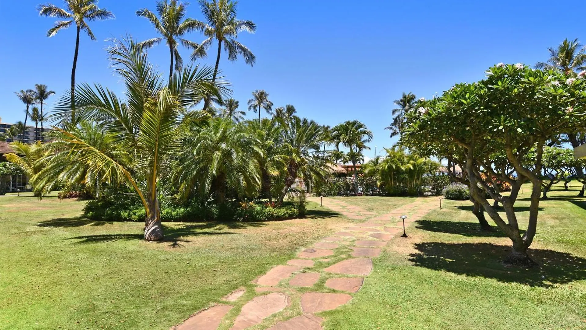 Kbm Resorts Free Car Maui Kaanapali Mkv-Kvb-242 Beachfront Resort Studio Villa 0*,