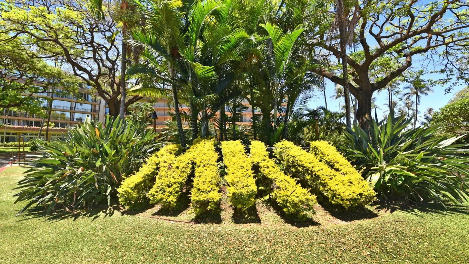 アパート Kbm Resorts Free Car Maui Kaanapali Beachfront Resort Studio Villa Mkv-B242 米国