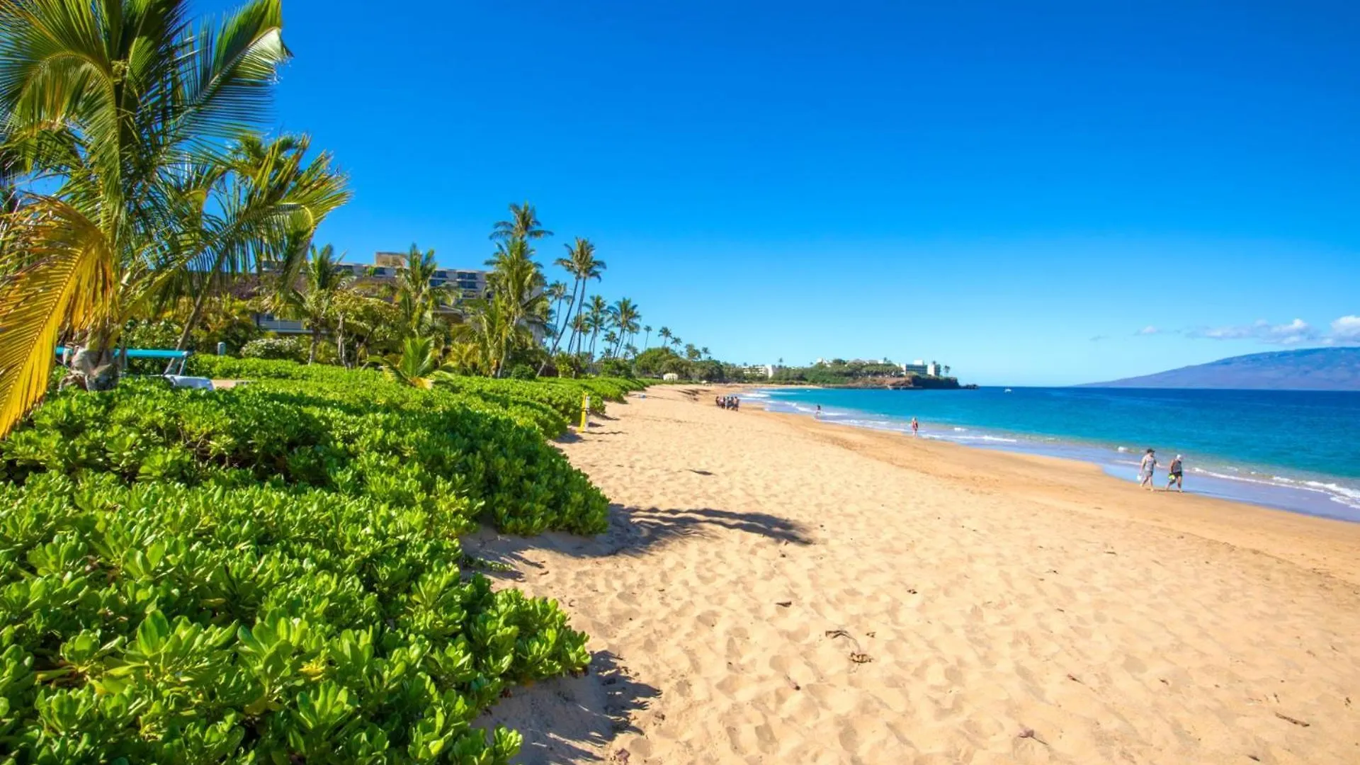 Kbm Resorts Free Car Maui Kaanapali Beachfront Resort Studio Villa Mkv-B242